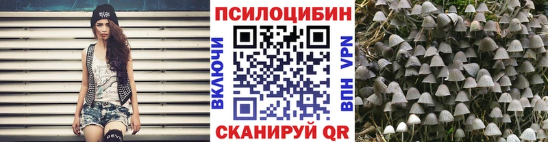 купить наркотик  Хадыженск  mega   Псилоцибиновые грибы мицелий 